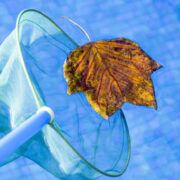 unnamed (23) Winterize a Salt Water Pool