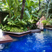 How to Prevent Algae Growth in Your Pool Before It Starts