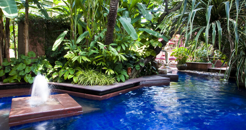 How to Prevent Algae Growth in Your Pool Before It Starts